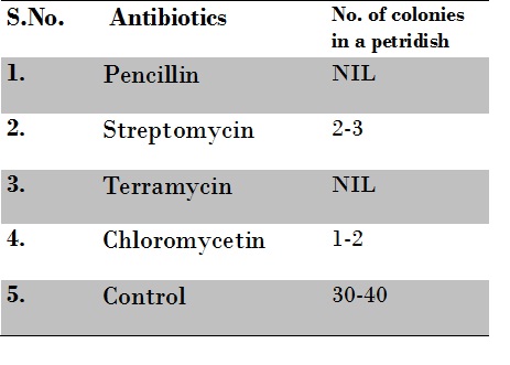 Effects Of Antibiotics